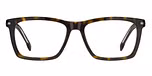 BLACK HAVANA (GREEN SHADED POLARIZED / GRADIENT) / ECO ACETATE