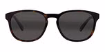 Tortoise / Grey Polarlynx / Polarized