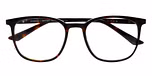 HAVANA (BROWN) MEDIUM SHINY