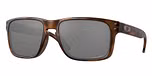 MATTE BROWN TORTOISE / havana / prizm black