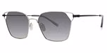 Silver / polarized