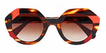 WINDY TORTOISE