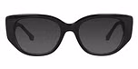 Black / Gray Polarised Lens
