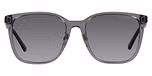 Shiny Transparent Grey / Polar Grey Gradient
