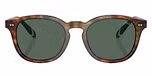 Shiny Brown Tortoise / Bottle Green