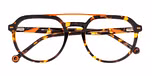 Dark Tortoiseshell