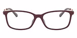 CORDOVAN SOLID