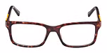 DARK HAVANA / DARK HAVANA