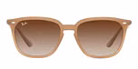 TURTLEDOVE / light brown / gradient brown