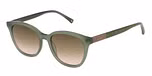 OLIVE GREEN / GRADUATED