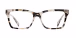 IVORY TORTOISE