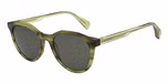 GLOSS OLIVE HORN