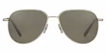 Shiny Light Gold / Mineral Non Polarized 555nm
