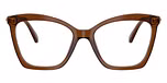 Transparent Brown / Brown