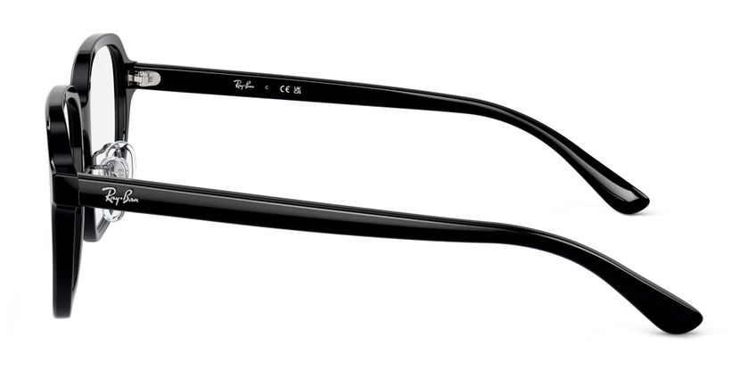 Ray-Ban RX5424D