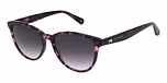 GLOSS MULTI PURPLE TORT / GRADUATED