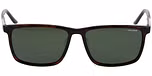 Polarized