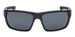 SHINY BLACK / SHINY BLACK / SMOKE POLARIZED