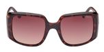 DARK HAVANA / DARK HAVANA / GRADIENT BROWN