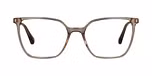 Brown / Transparent, Gold