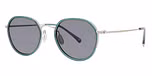 Silver / polarized