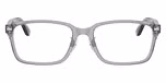 Shiny Transparent Grey