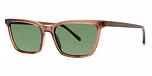Oak / polarized