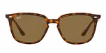 HAVANA / havana / dark brown