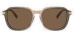 Transparent Green Tan Gradient / Brown Solid