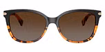 Black Tortoise Gradient / Brown Gradient Polarized