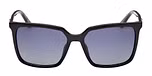 SHINY BLACK / SHINY BLACK / SMOKE POLARIZED