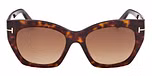 Dark Havana / Dark Havana / gradient brown