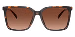 Dark Tortoise / Tortoise / Brown Gradient Polarized