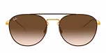 GOLD TOP ON BROWN / brown / brown gradient dark brown