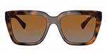Top Dark Havana/Light Brown / Brown / Gradient Brown Polarized