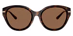 Dark Tortoise / Dark Brown Solid
