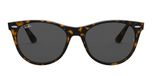 HAVANA ON TRASPARENT LIGHT BROWN / havana / dark grey