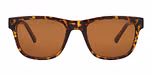 Tortoise / 
Brown (Cat 3)