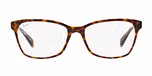 TOP HAVANA ON TRANSPARENT / havana