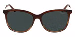 BROWN MEDIUM MATT / Polarized