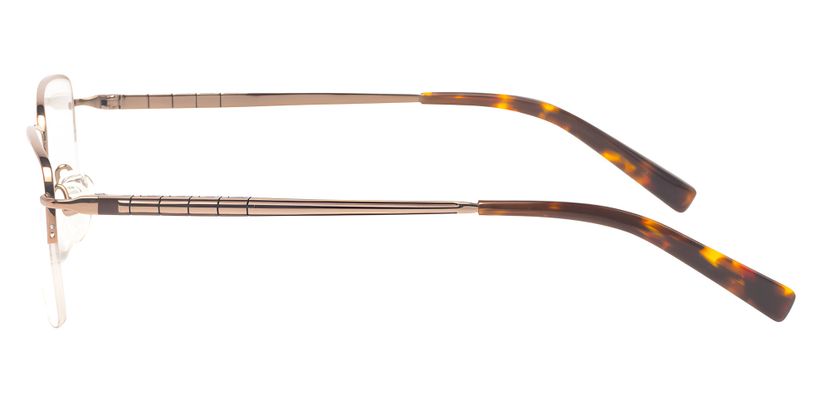 Ferucci Titanium 756
