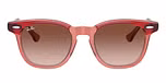 Top Red & Orange & Light Purple / Red / Brown