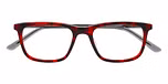 RED TORTOISE