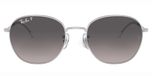 Silver / Grey polarized