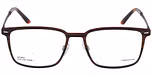 BLUISH BROWN