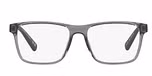 Shiny Transparent Grey