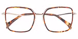 HAVANA (BROWN) MEDIUM DEMI