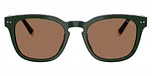 Shiny Dark Green / Dark Brown