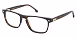 SHINY DARK HAVANA