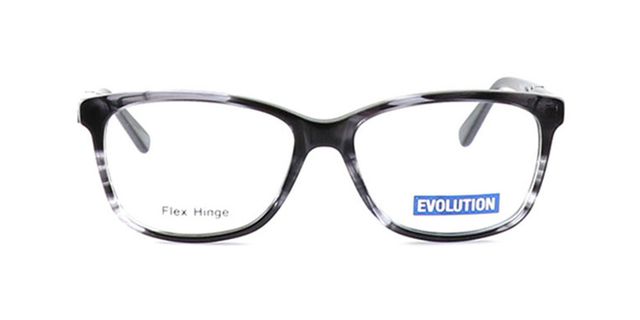 Evolution - EV1100